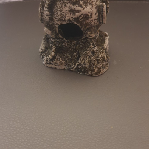 Décoration aquarium