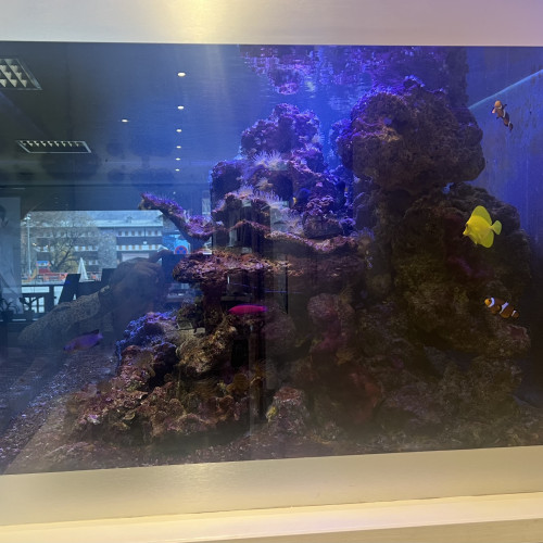 Vend aquarium