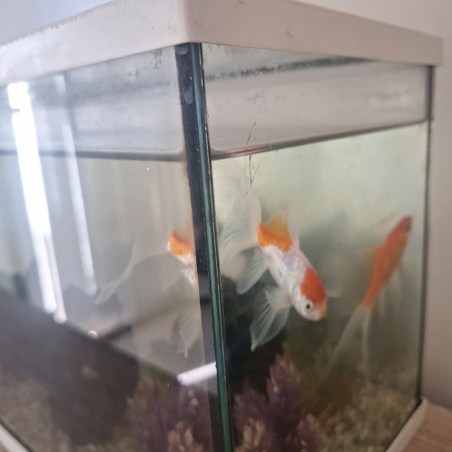 Aquarium