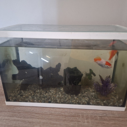 Aquarium