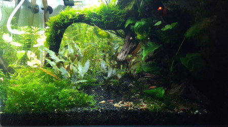 vitesse d'obturation