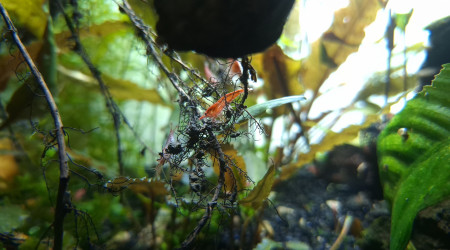 Modification de l'éclairage.