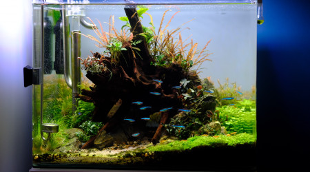 Dernières photos de mon bac ☺️