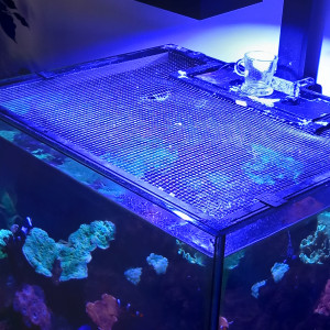 Aquarium