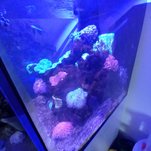 Aquarium