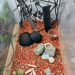 Aquarium 30L sol neutre rouge
