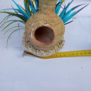 Amphore algues bleues