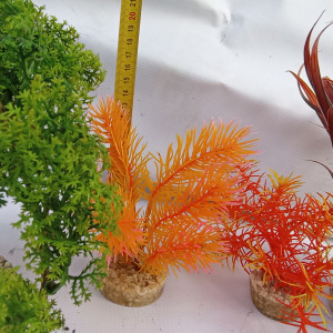 Lot de plantes avec supports