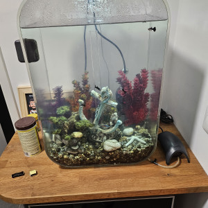 Donne poissons d'eau douce