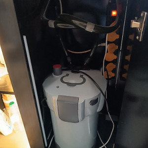 A Vendre cause Déménagement