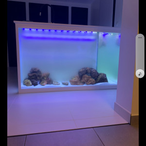 Aquarium en L