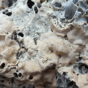 Pierres pour aquarium récifal et eau de mer