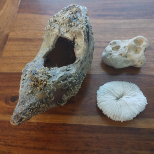 Décors avec épave de bateau pour aquarium / crevettes / poissons