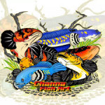 Aquariophile willy-tinen