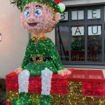 Aquariophile Fishane