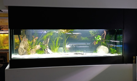aquarium POSEIDON 1000