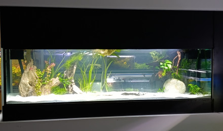 aquarium POSEIDON 1000