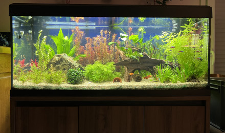 aquarium Aquarium 200 litres