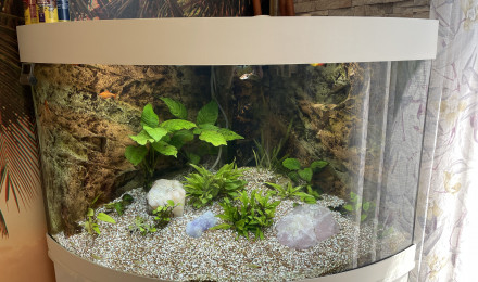 aquarium Juwel trigon 190