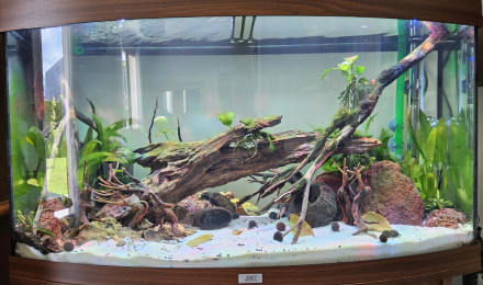 aquarium Juwel vision180