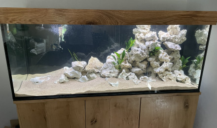 aquarium Tanganyika