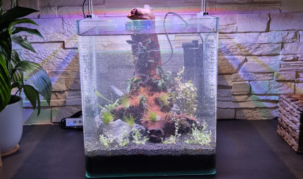 aquarium 30L