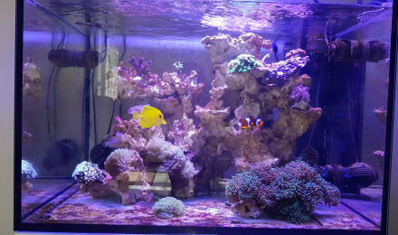 aquarium Elos 70