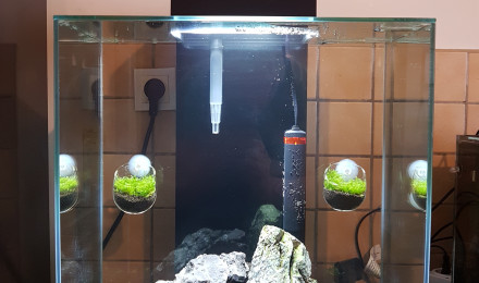 aquarium Aquacuisine