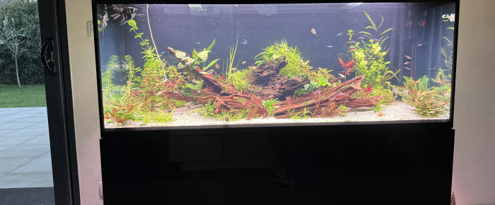 aquarium AQUAEL glossy 150 , de benoitlgz