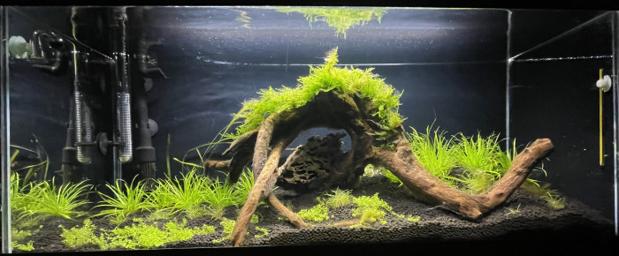 aquarium Communautaire , de Alphabar