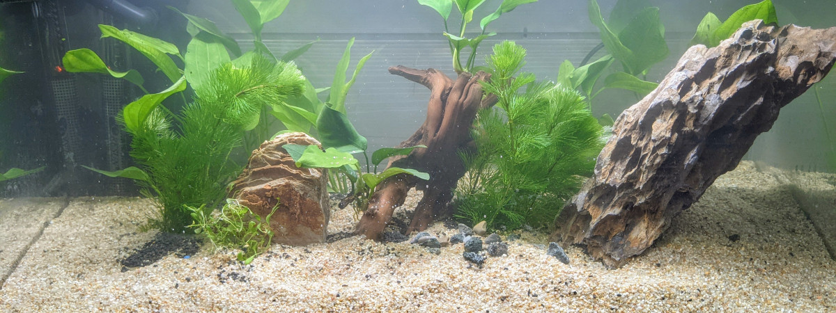 aquarium Fist Aquarium