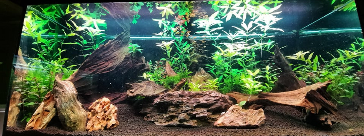 aquarium bac  180 litres