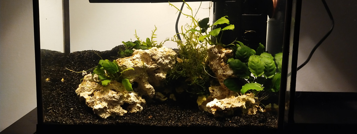 aquarium Aquarium 20L