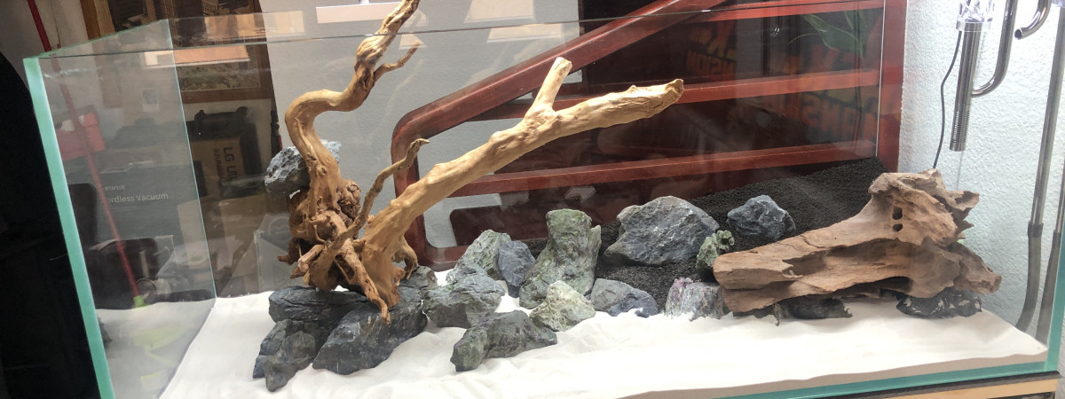 aquarium Aquascape 300L