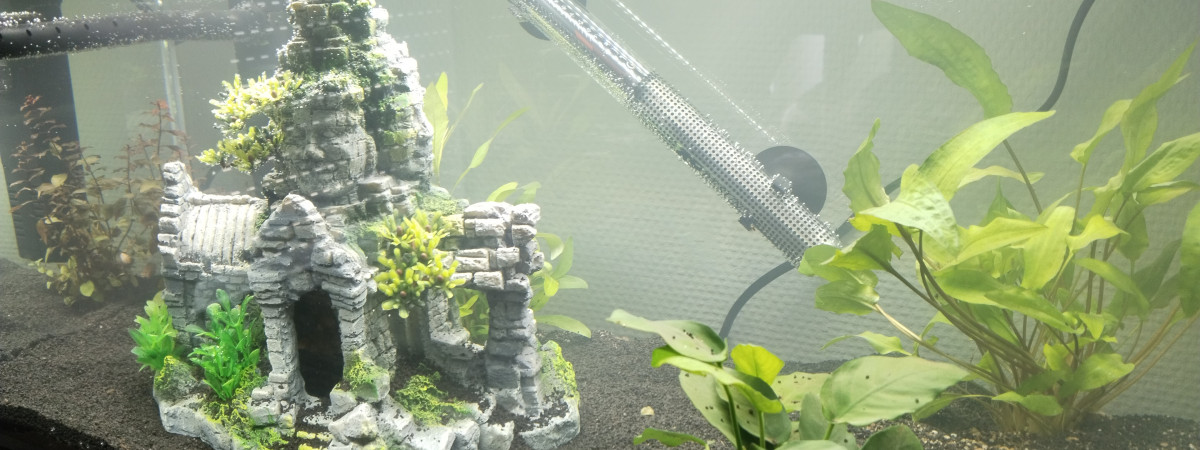 aquarium Inwa confort 60