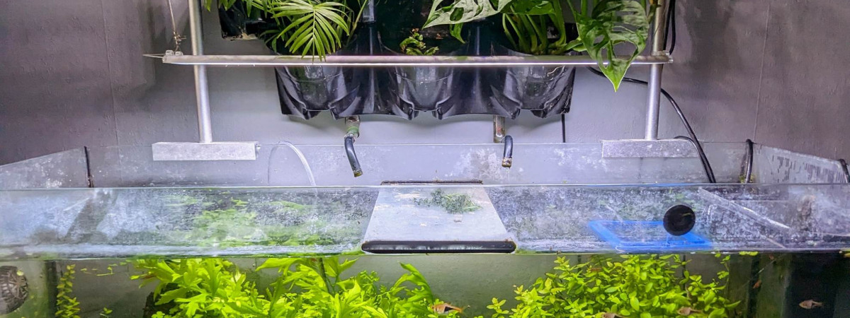 aquarium 135ll