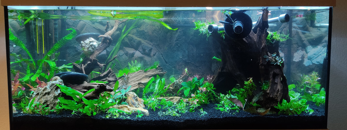 aquarium mon premier bac
