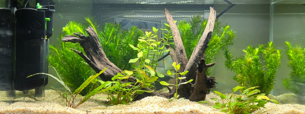 aquarium Jannot