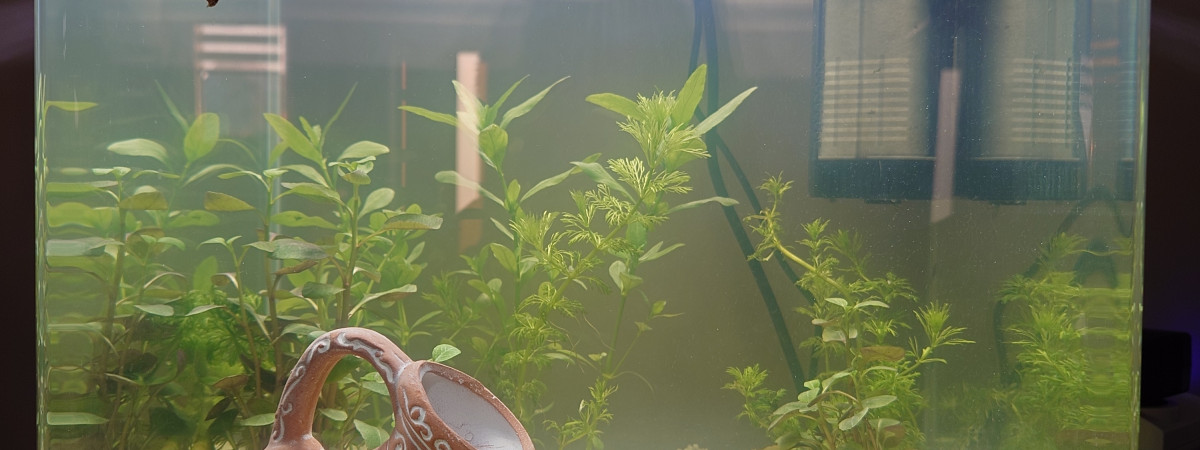 aquarium Nano Cube 30L