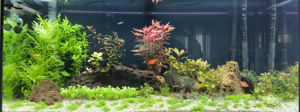 aquarium Rio180