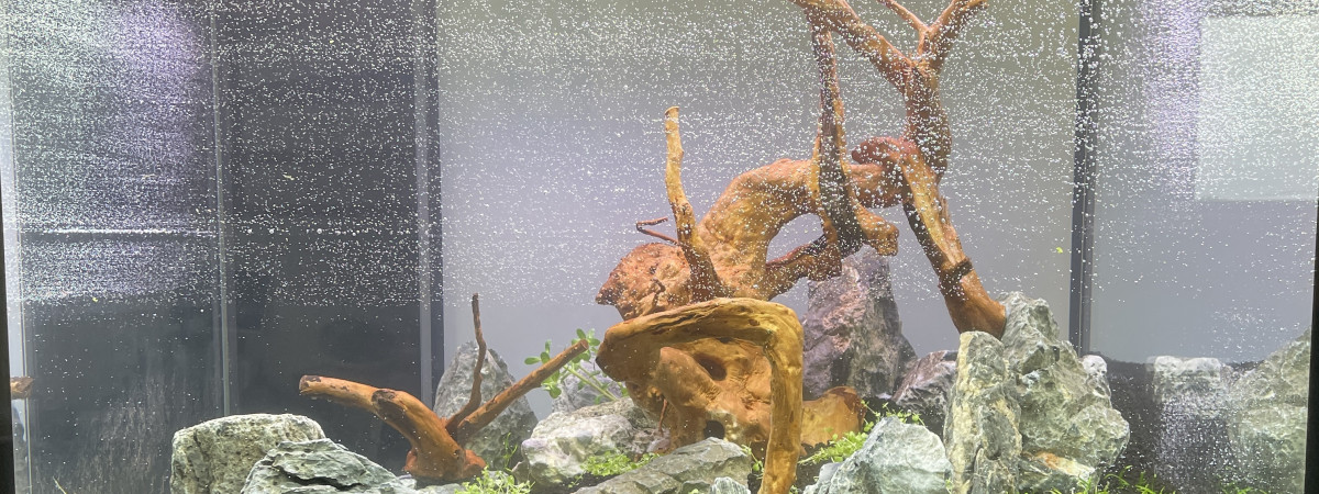 aquarium Inc 230L