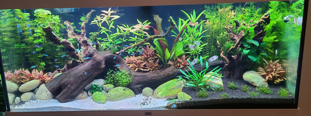 aquarium JUWEL SALON