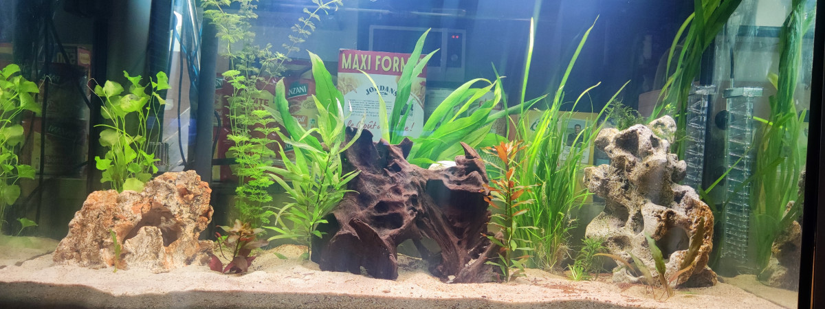 aquarium Fluval 390L