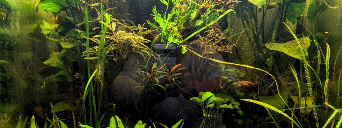aquarium Osaka 155