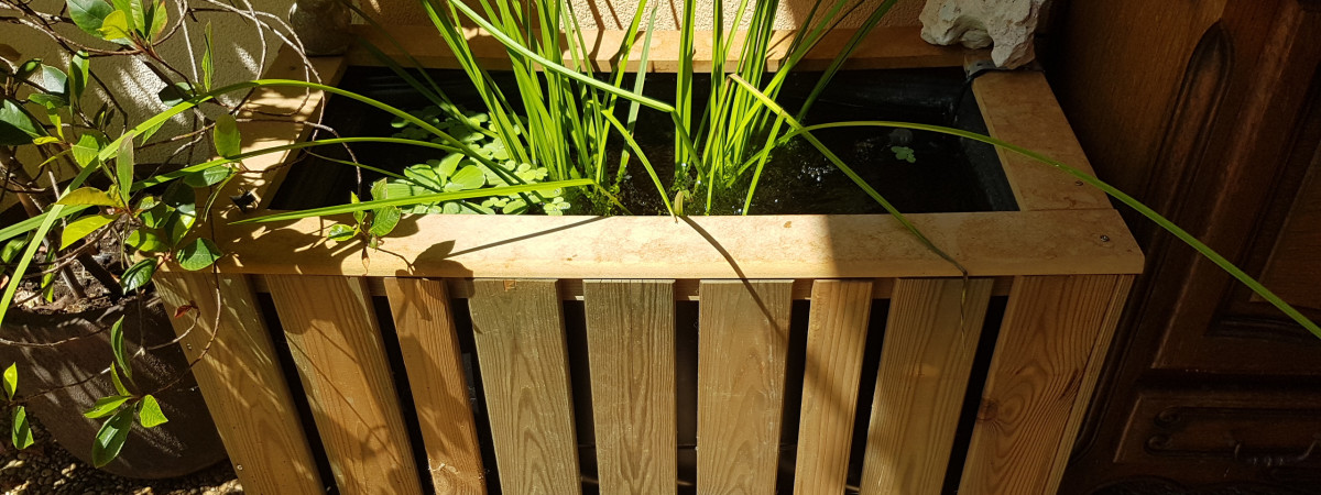 aquarium MINI BASSIN 80