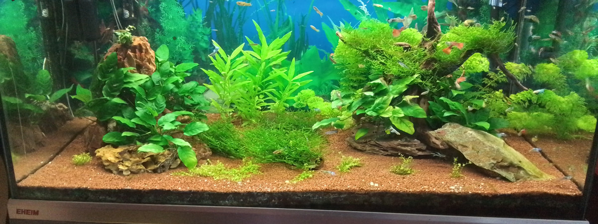 aquarium Bac 250 L