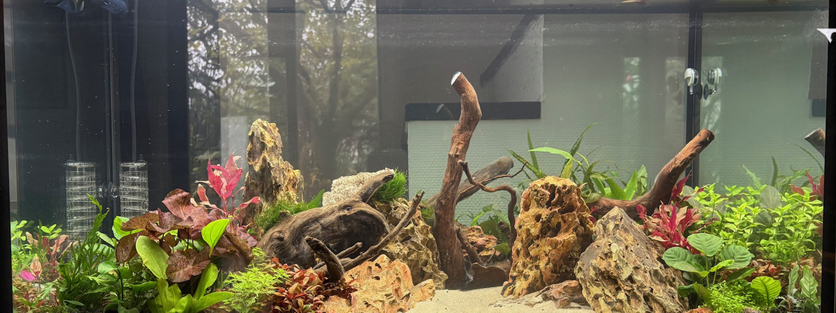 aquarium Asie_Océanie