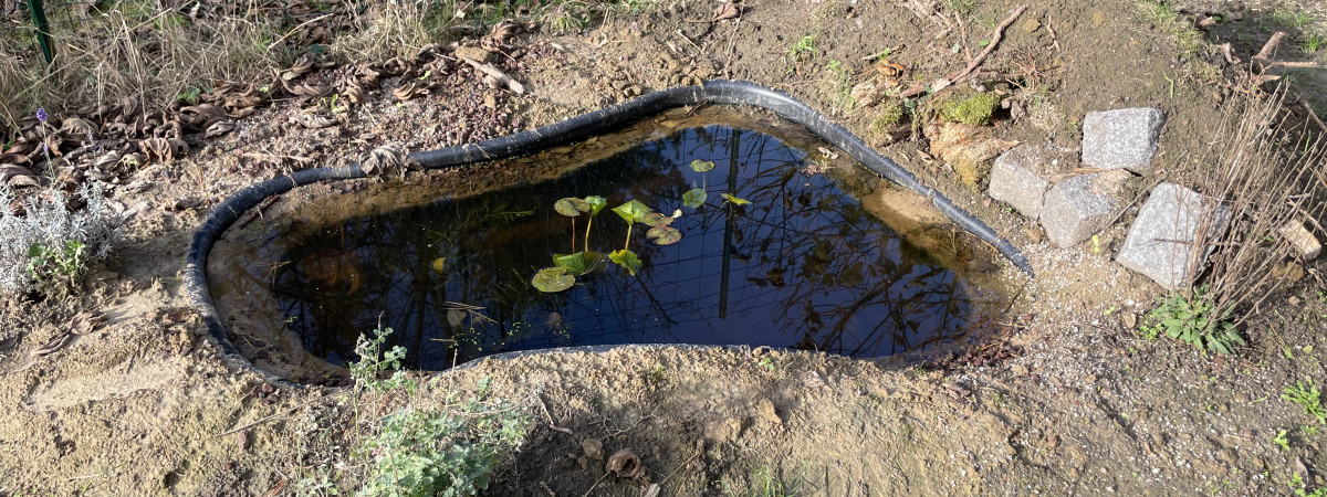 aquarium Mare naturelle