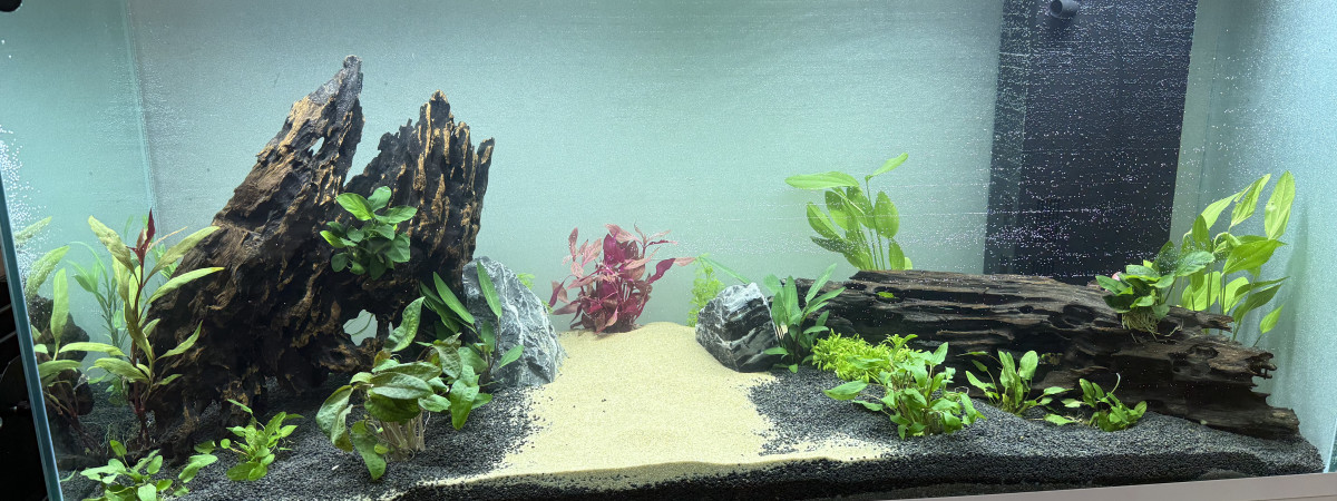 aquarium Ciano Pro 120