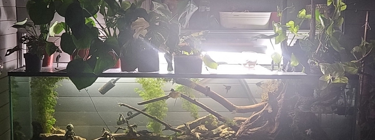 aquarium 600L